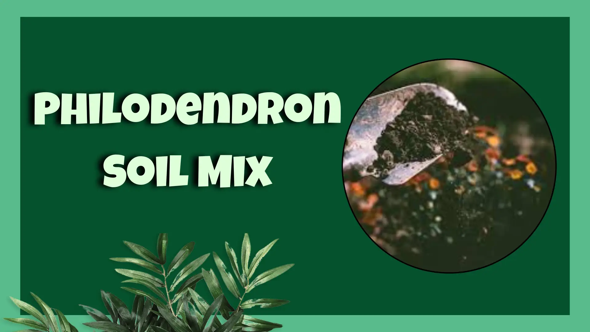 Philodendron Soil Mix