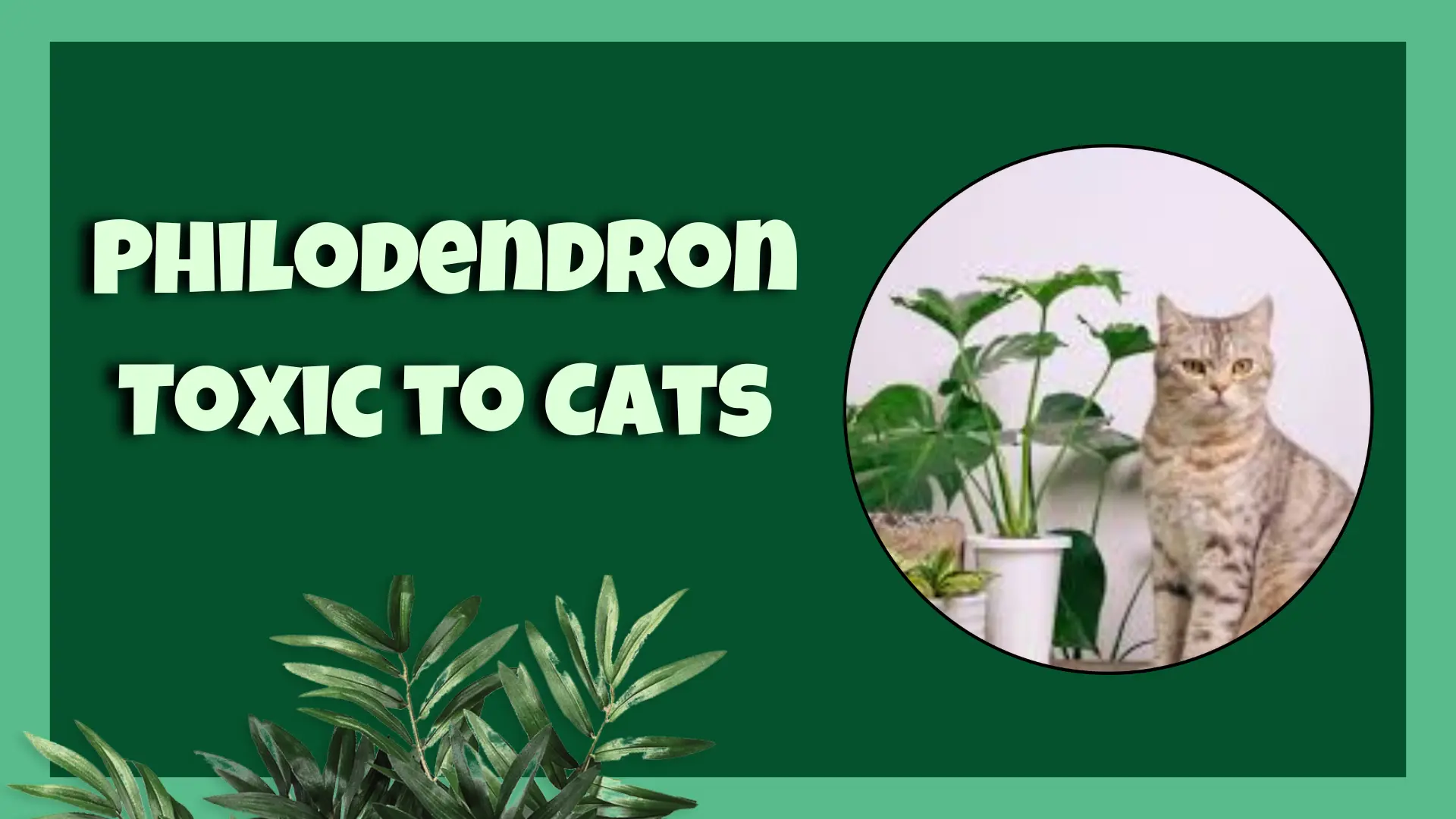 Philodendron Toxic to Cats